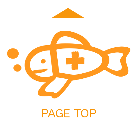 PAGE TOP